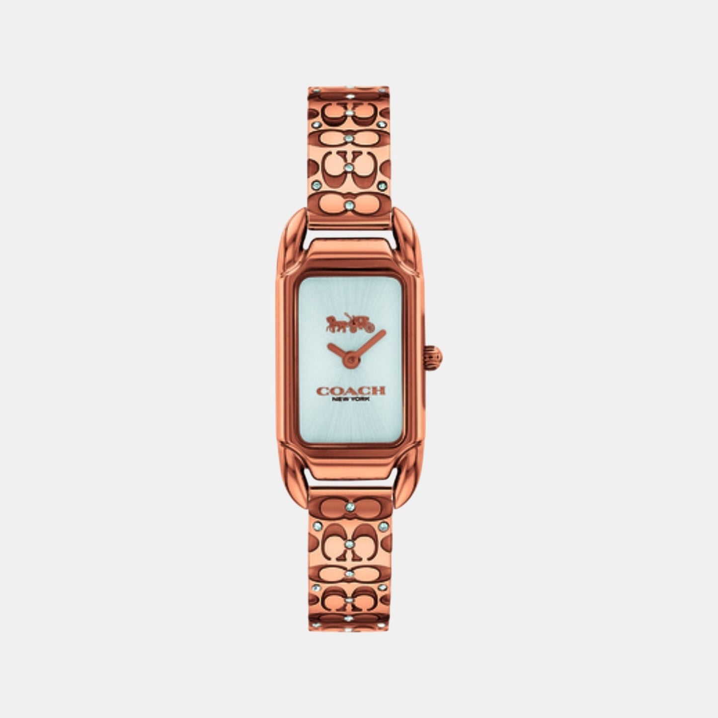 Cadie Women Quartz Silver Dial Analog Stainless Steel Watch 14504197