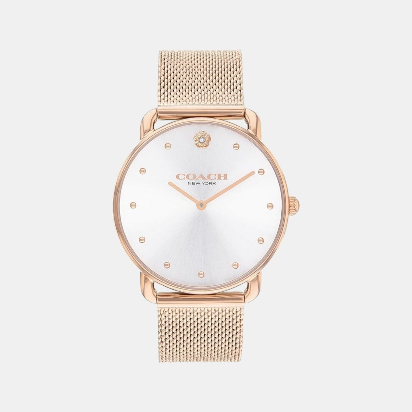 Elliot Women Quartz Silver Dial Analog Mesh Watch 14504209