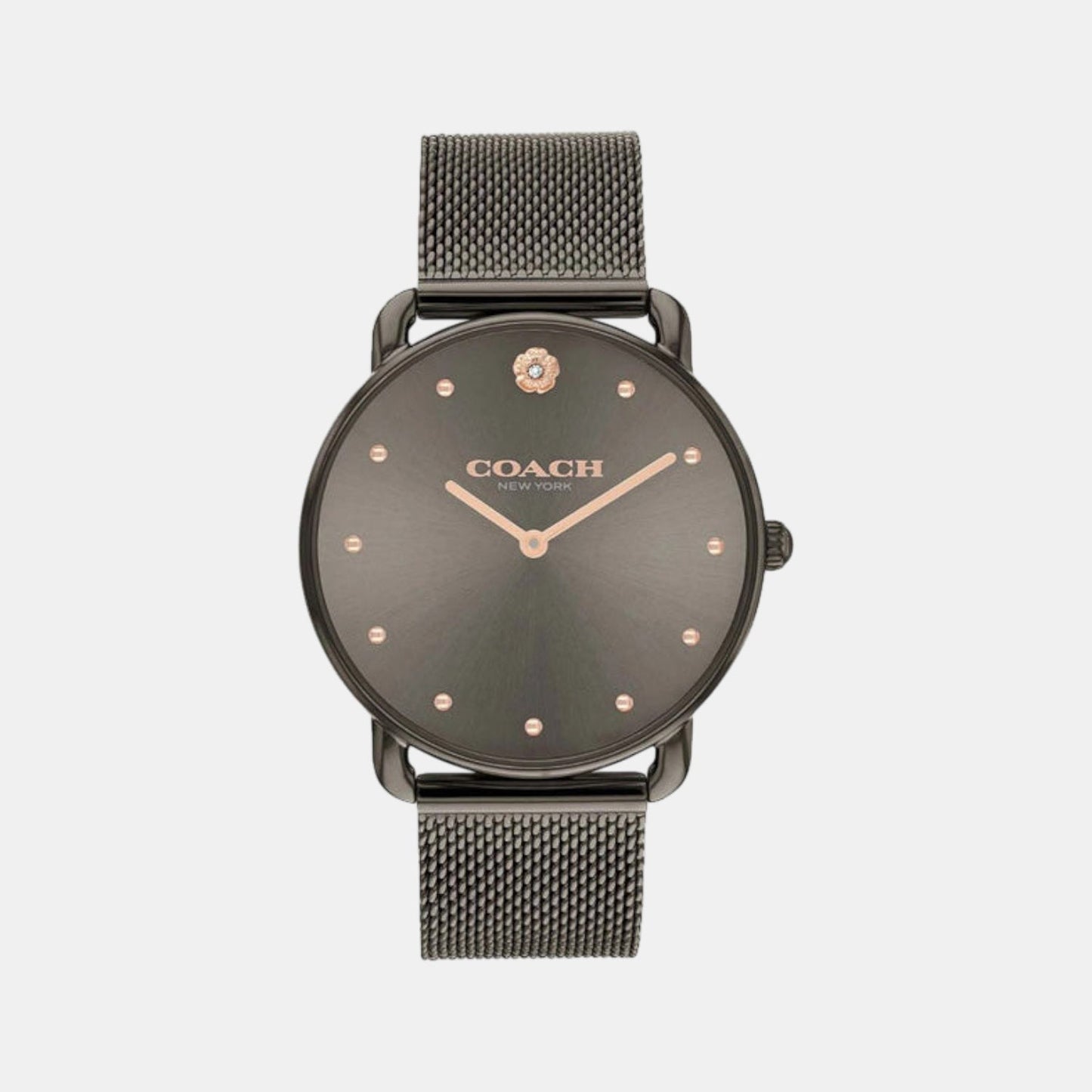 Elliot Women Quartz Grey Dial Analog Mesh Watch 14504210