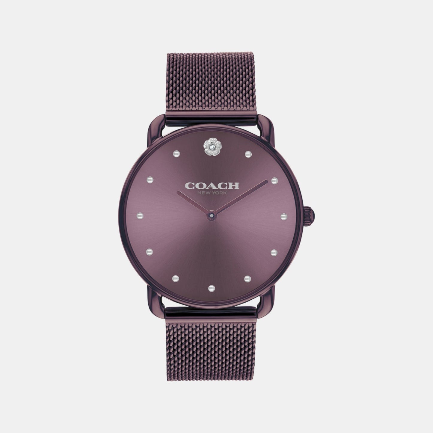 Elliot Women Quartz Purple Dial Analog Stainless Steel Watch 14504211