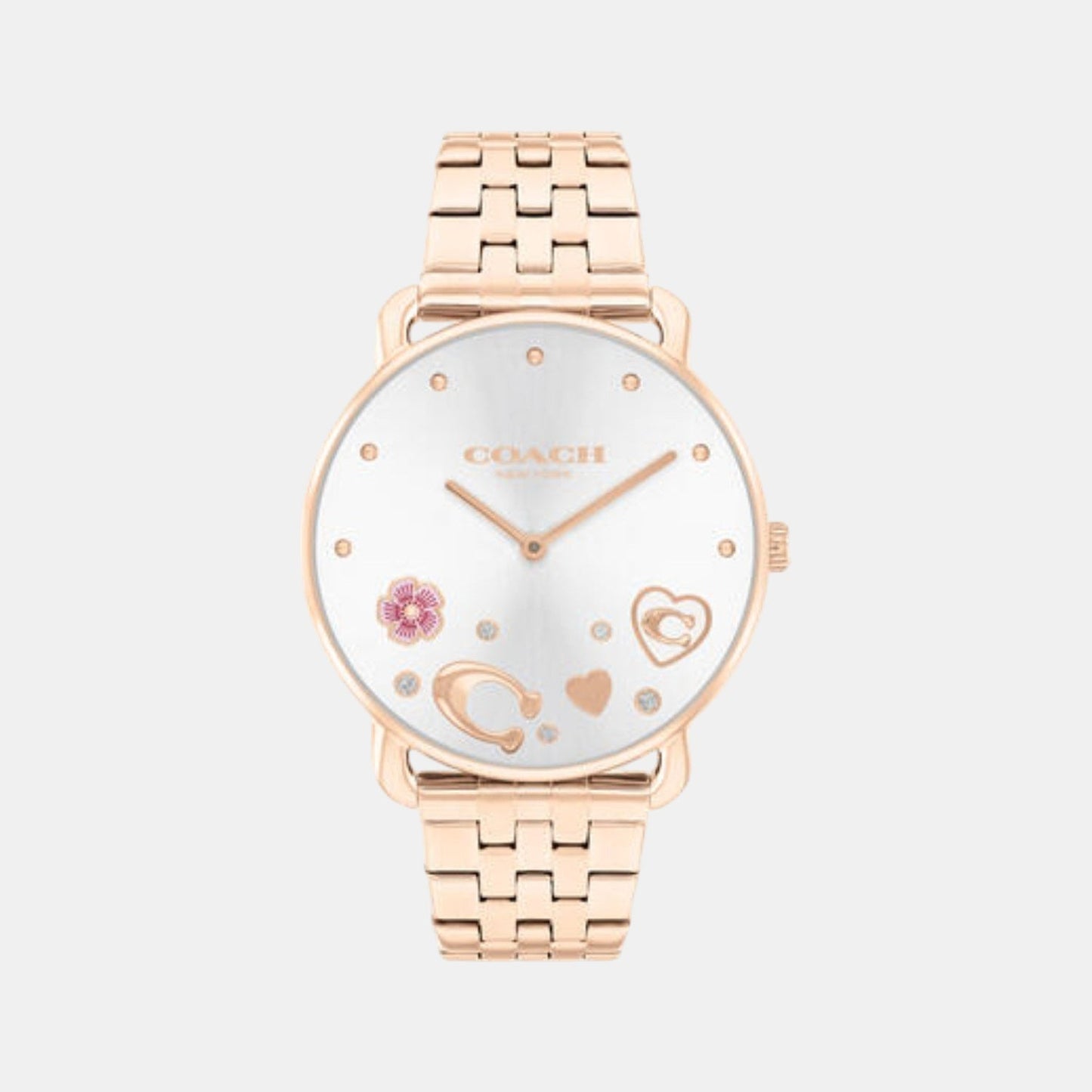 Elliot Women Quartz Silver Dial Analog Stainless Steel Watch 14504285