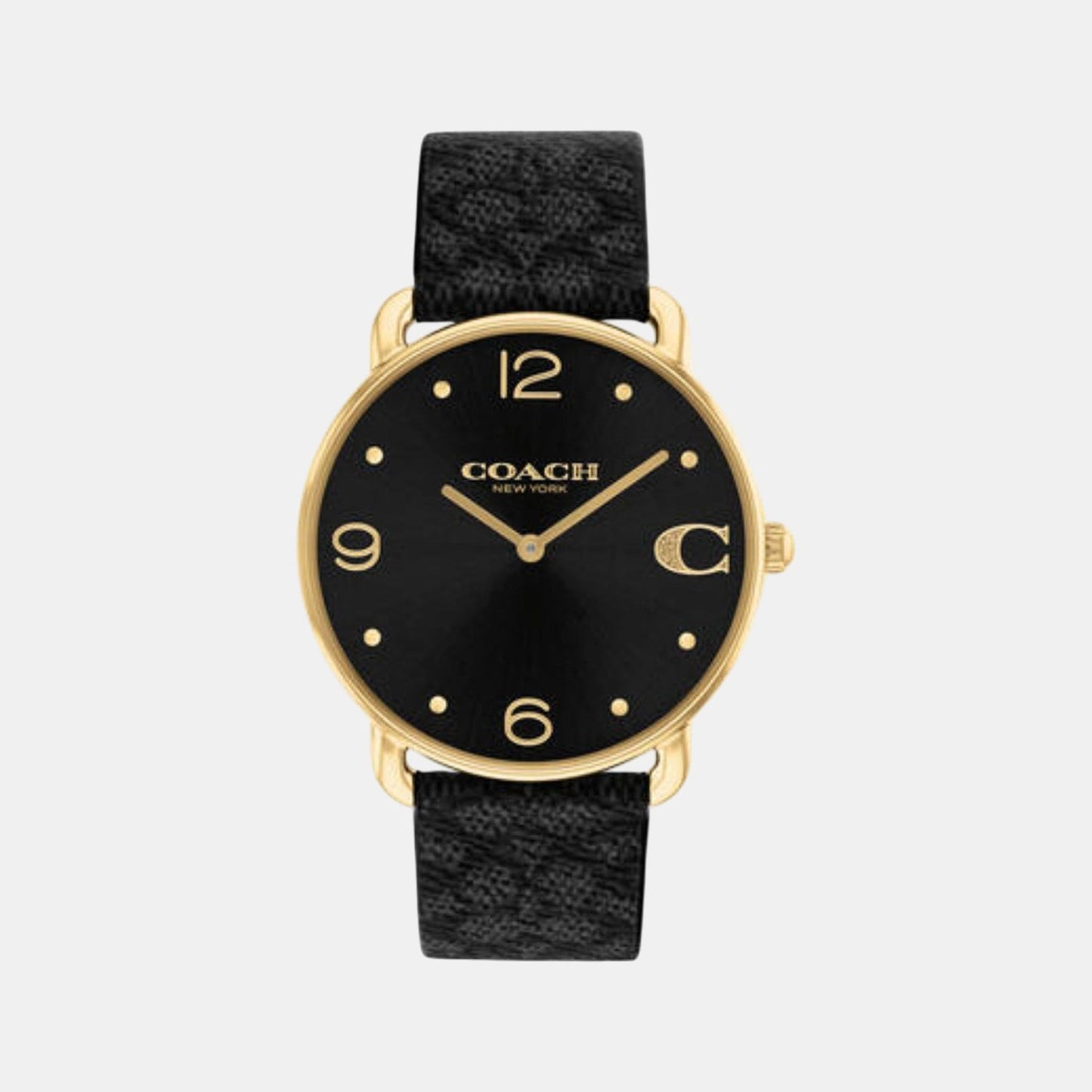 Elliot Women Quartz Black Dial Analog Leather Watch 14504289