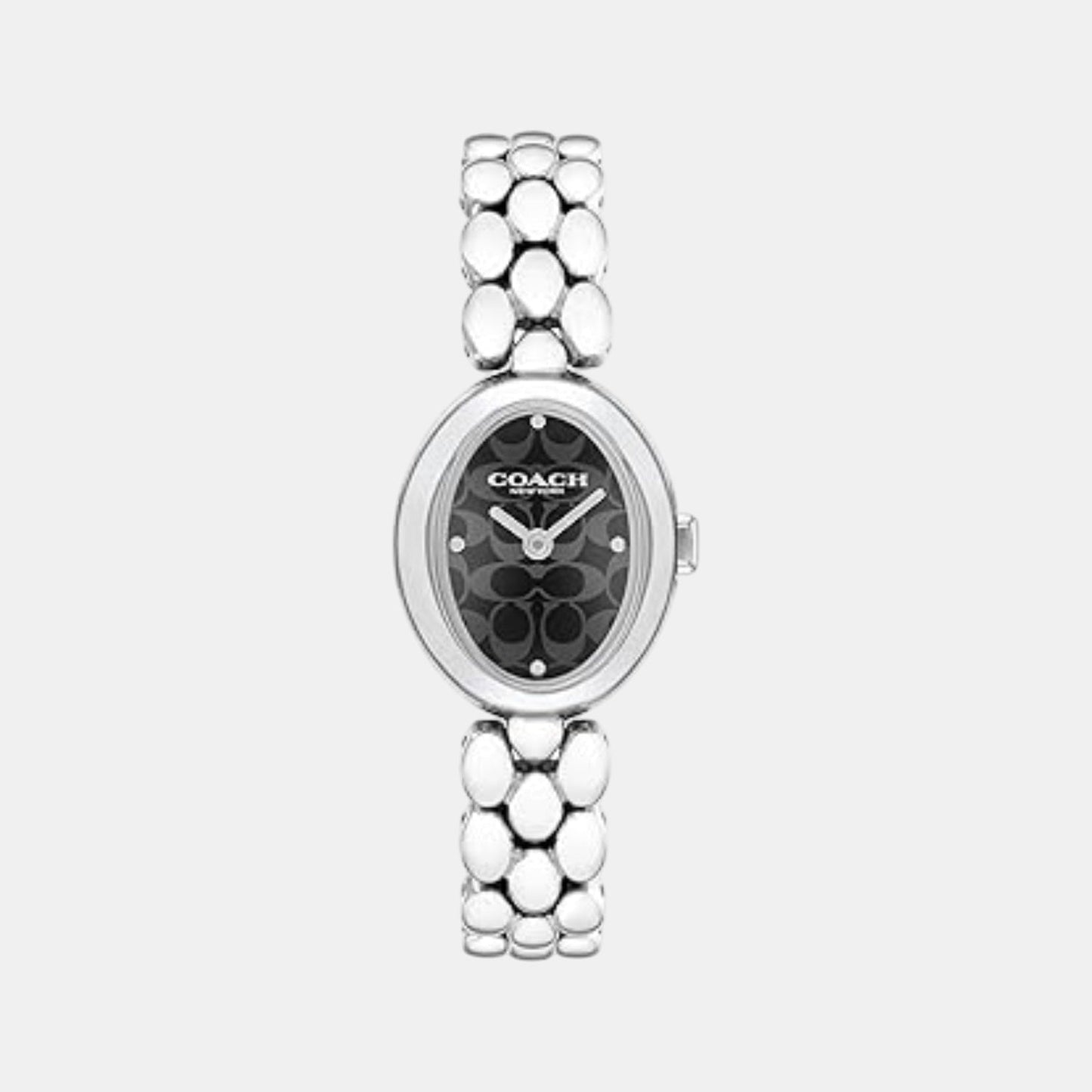 Sammy Women Quartz Black Dial Analog Stainless Steel Watch 14504420