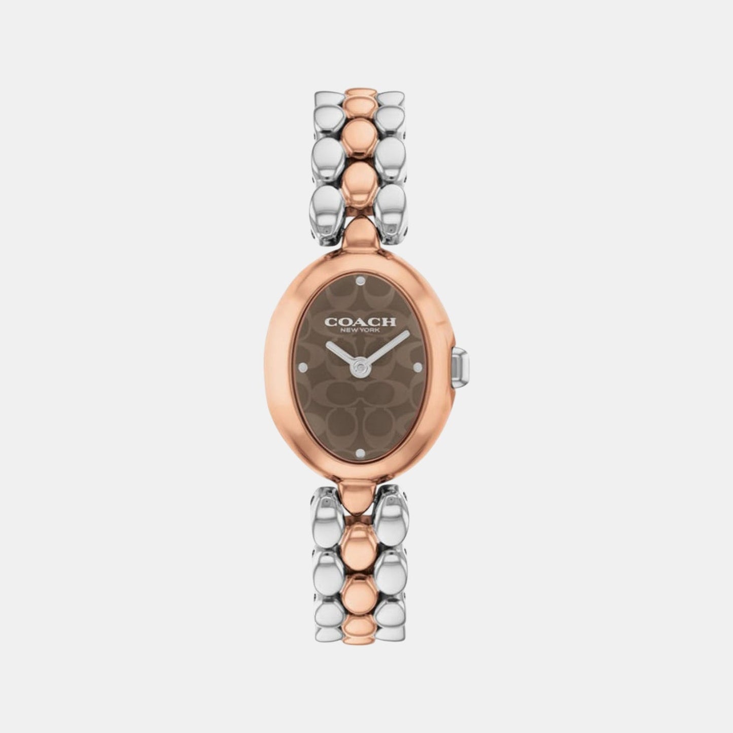 Sammy Women Quartz Brown Dial Analog Stainless Steel Watch 14504542