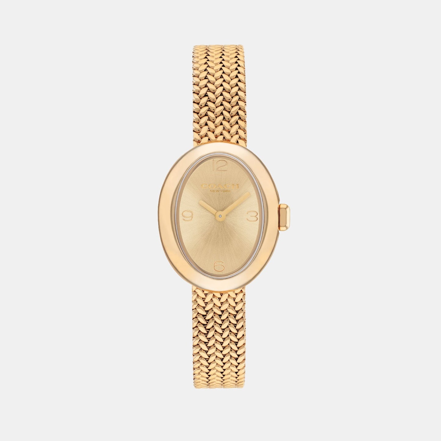 Sammy Women Quartz Gold Dial Analog Mesh Watch 14504567