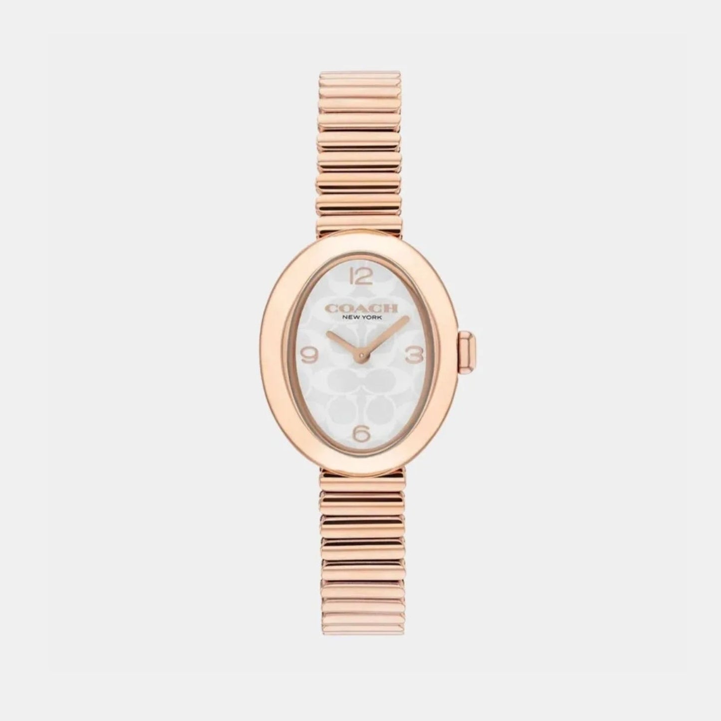 Sammy Women Quartz White Dial Analog Stainless Steel Watch 14504572