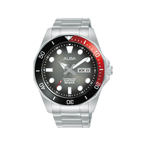 Men's Grey Stainless Steel Watch AL4539X1