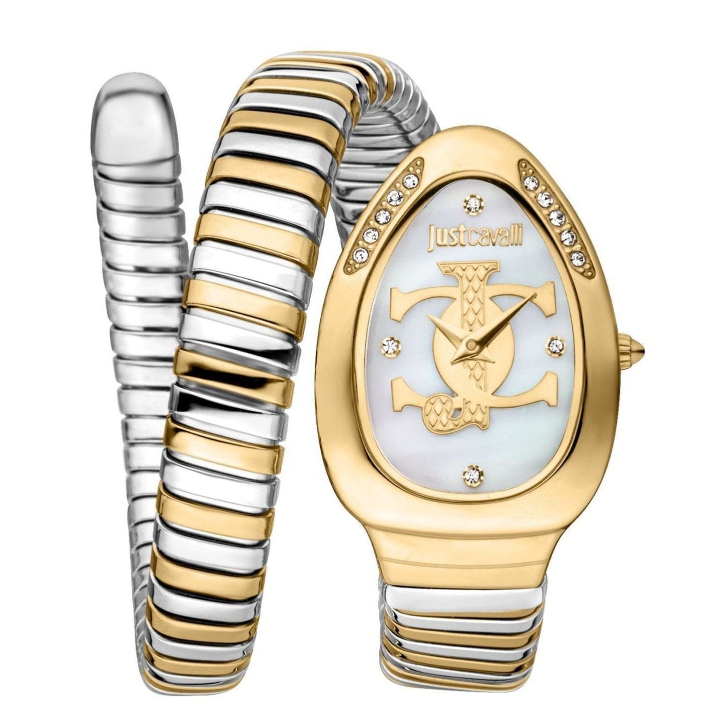 Just Cavalli Watch JC1L227M0065