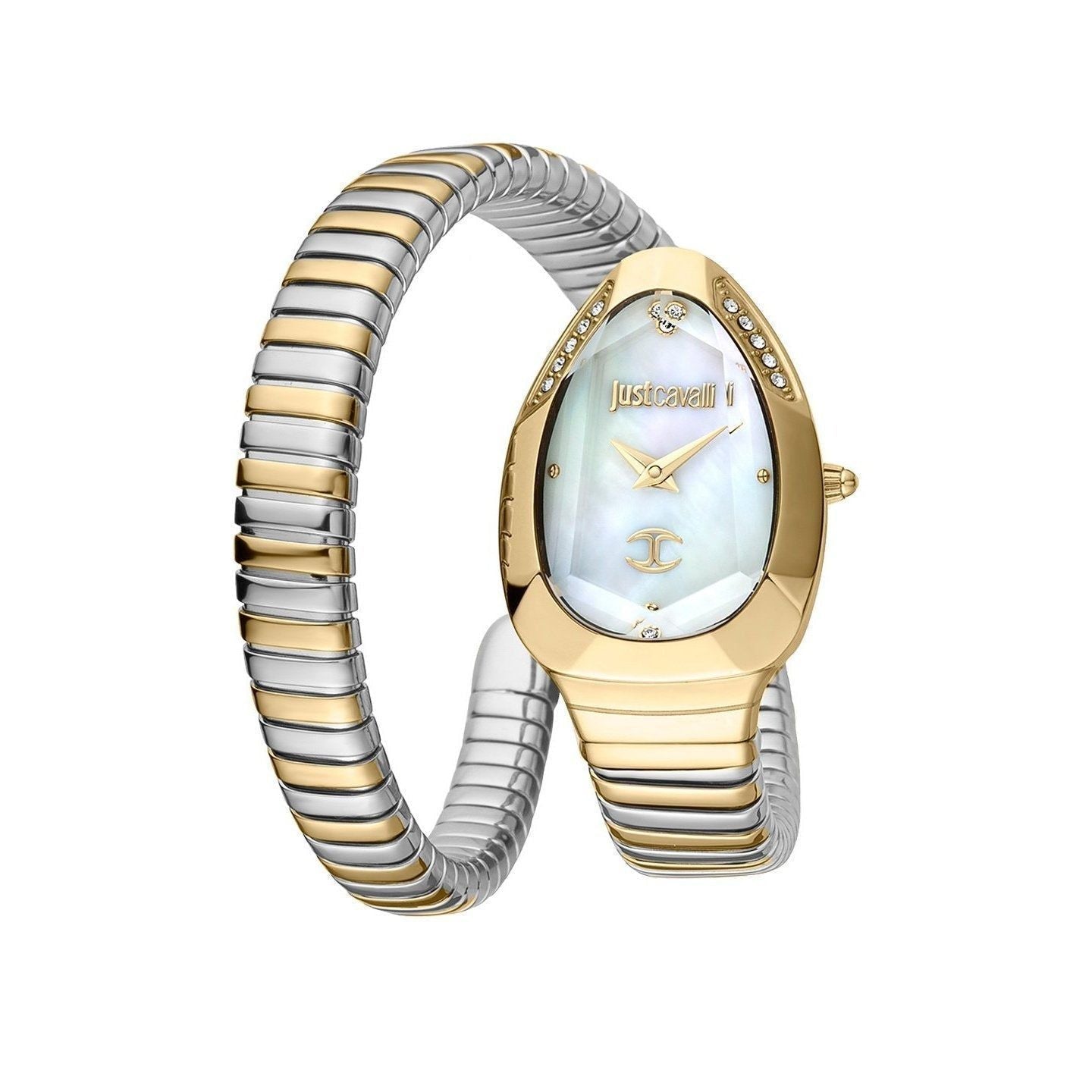 Just Cavalli Watch JC1L208M0065