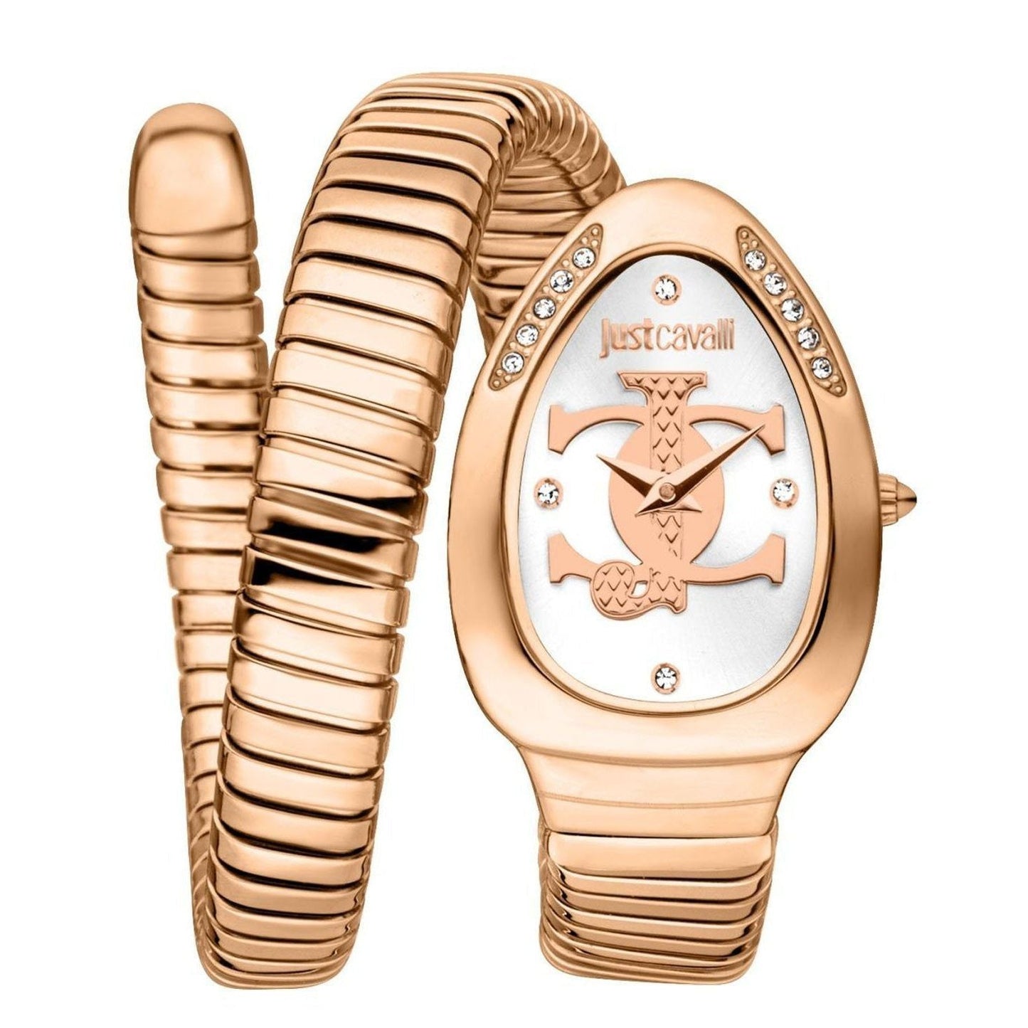 Just Cavalli Watch JC1L227M0055