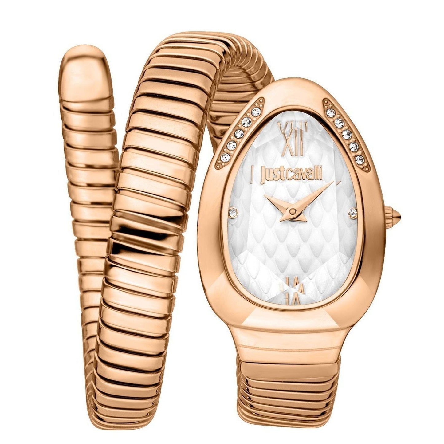 Just Cavalli Watch JC1L223M0045