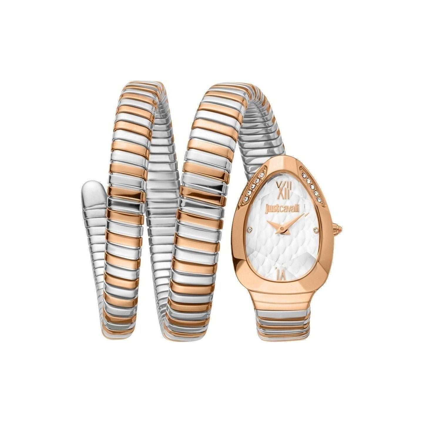 Just Cavalli Watch JC1L224M0085