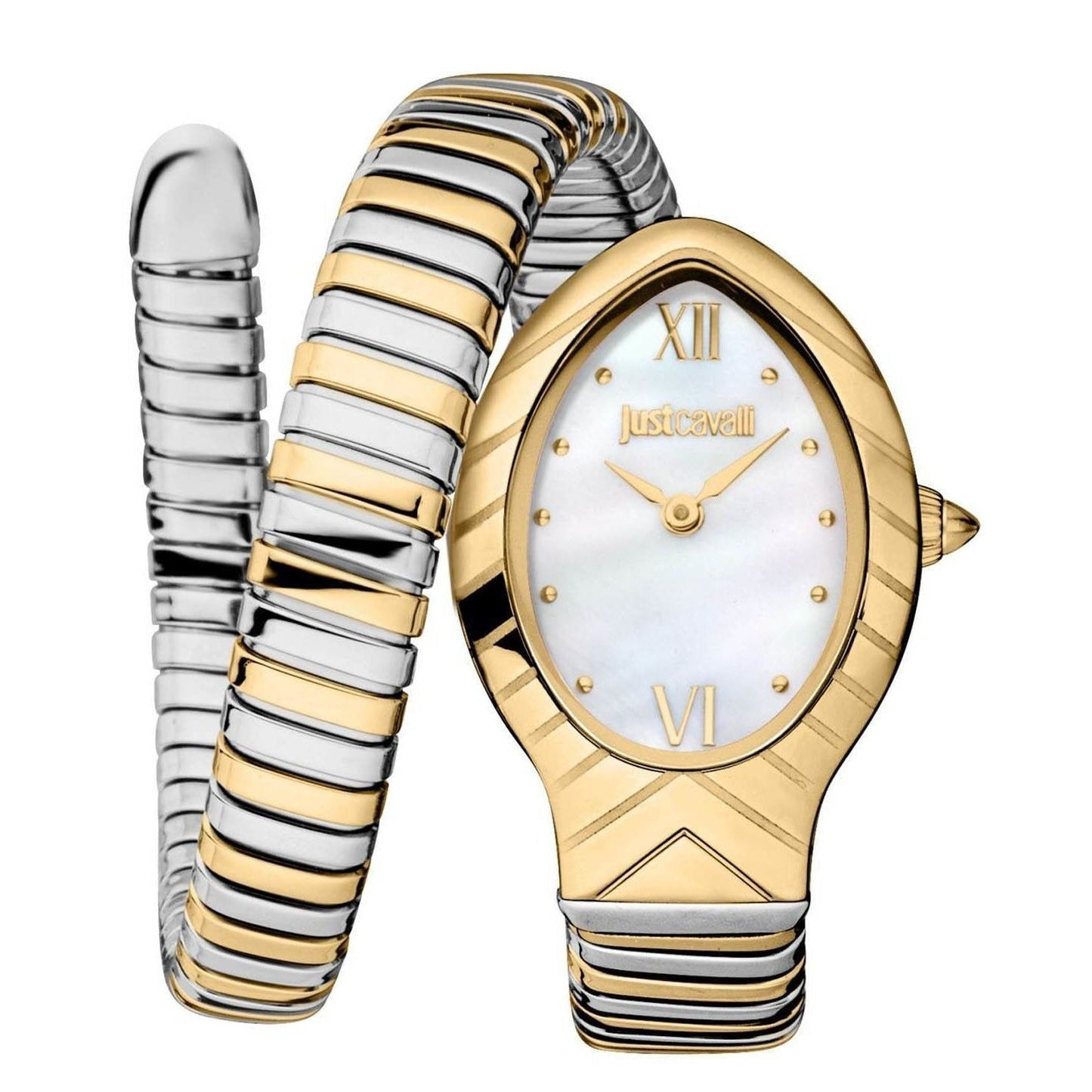Just Cavalli Watch JC1L247M0055