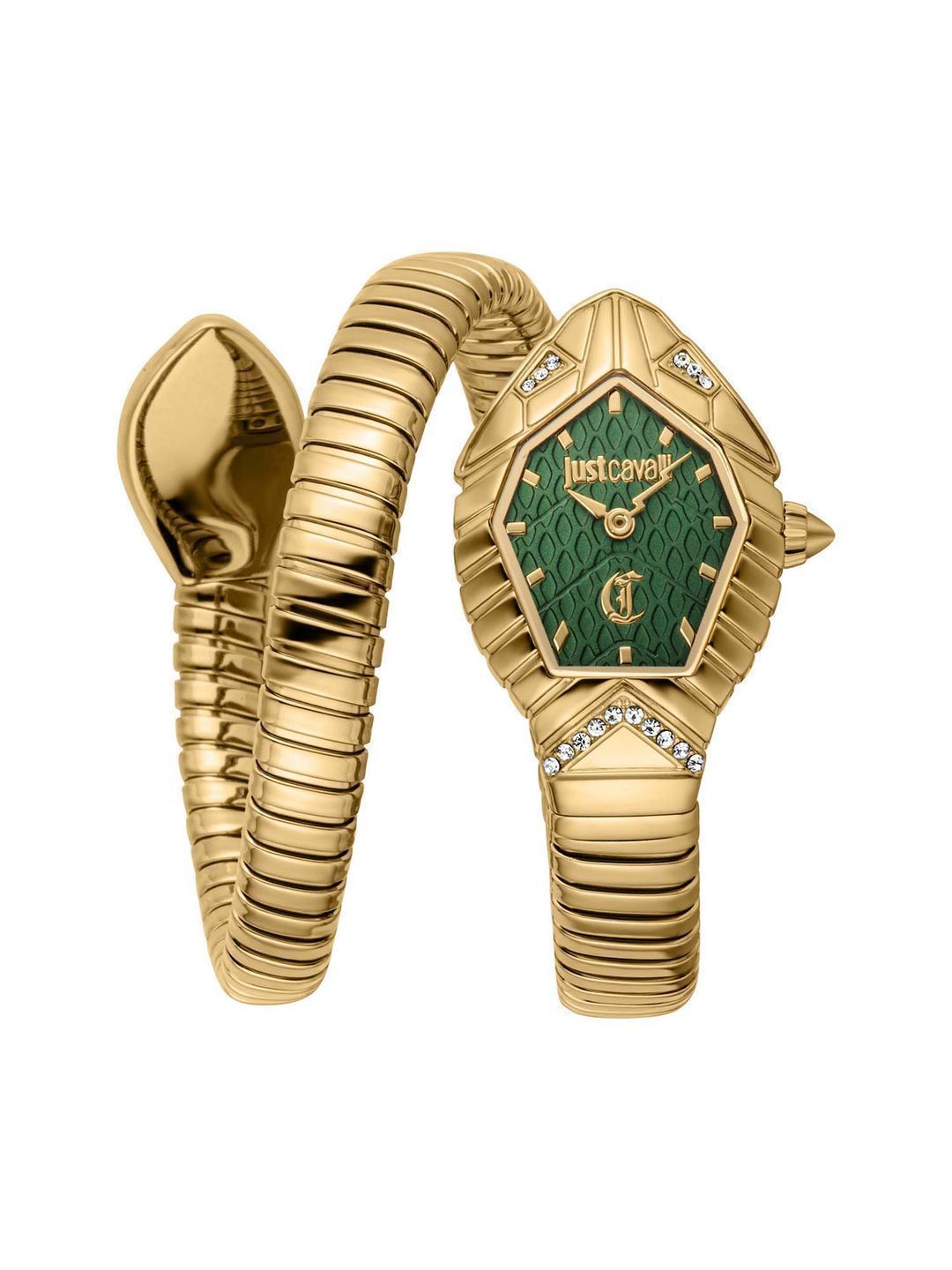 Just Cavalli Watch JC1L356M0035