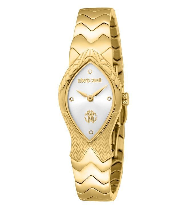 Roberto Cavalli Watch RC5L092M0025