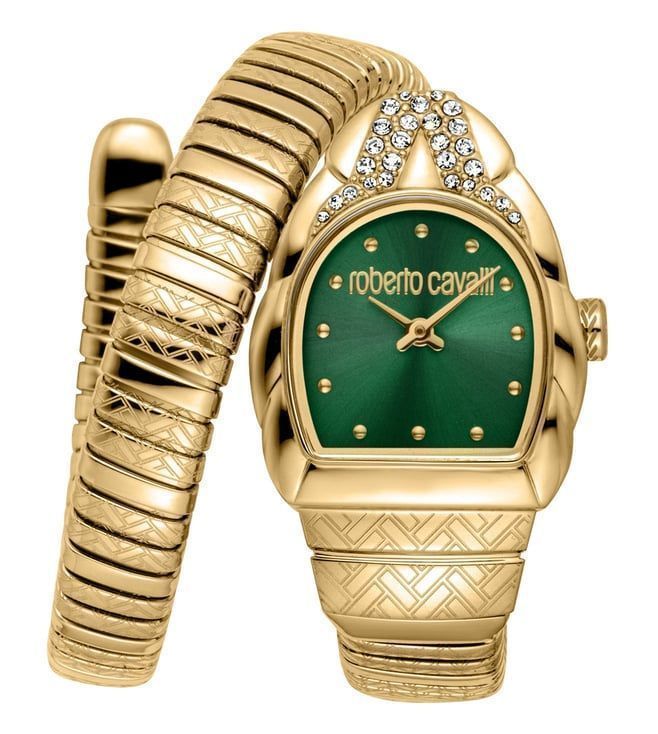 Roberto Cavalli Watch RC5L133M0045