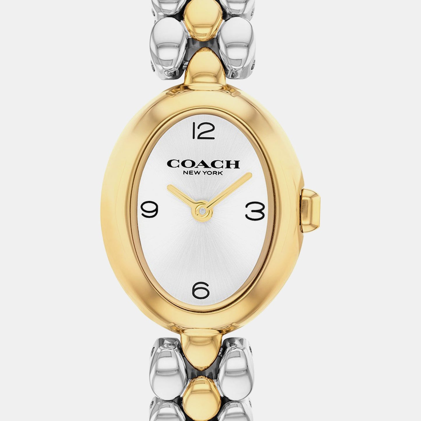 Sammy Women Quartz Silver Dial Analog Stainless Steel Watch 14000128