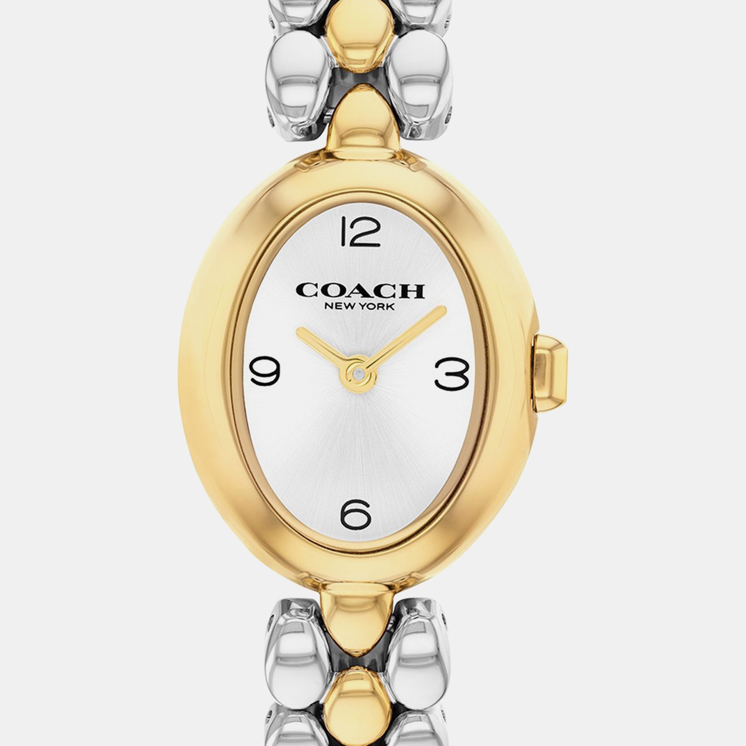 Sammy Women Quartz Silver Dial Analog Stainless Steel Watch 14000128