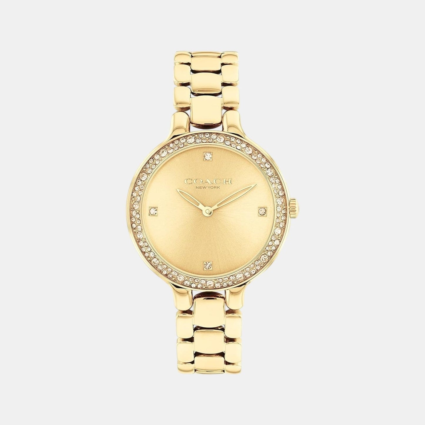 Chelsea Women Quartz Gold Dial Analog Stainless Steel Watch 14504125