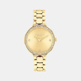 Chelsea Women Quartz Gold Dial Analog Stainless Steel Watch 14504125