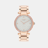 Cary Women Quartz Grey Dial Analog Stainless Steel Watch 14504184