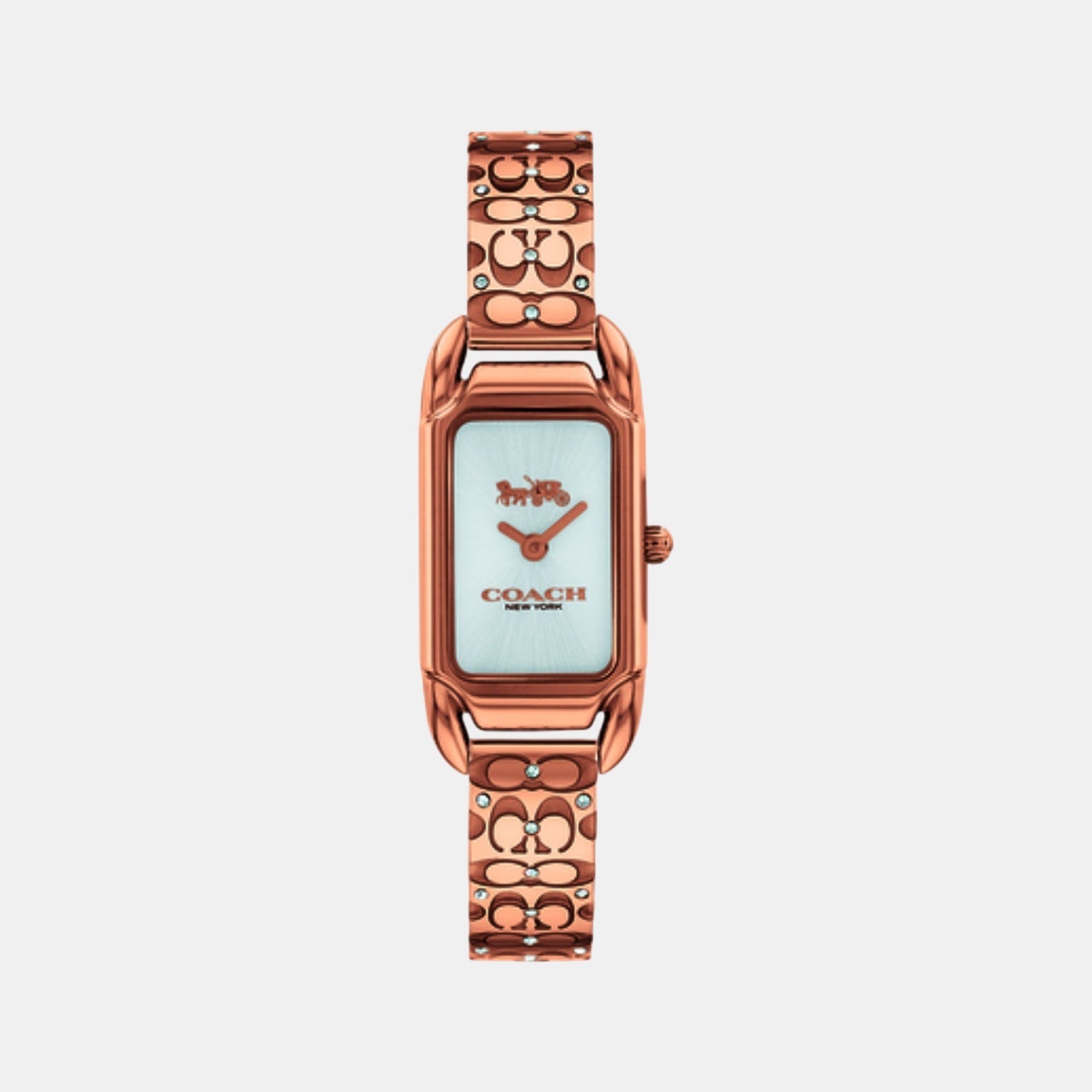 Cadie Women Quartz Silver Dial Analog Stainless Steel Watch 14504197