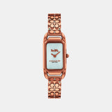 Cadie Women Quartz Silver Dial Analog Stainless Steel Watch 14504197