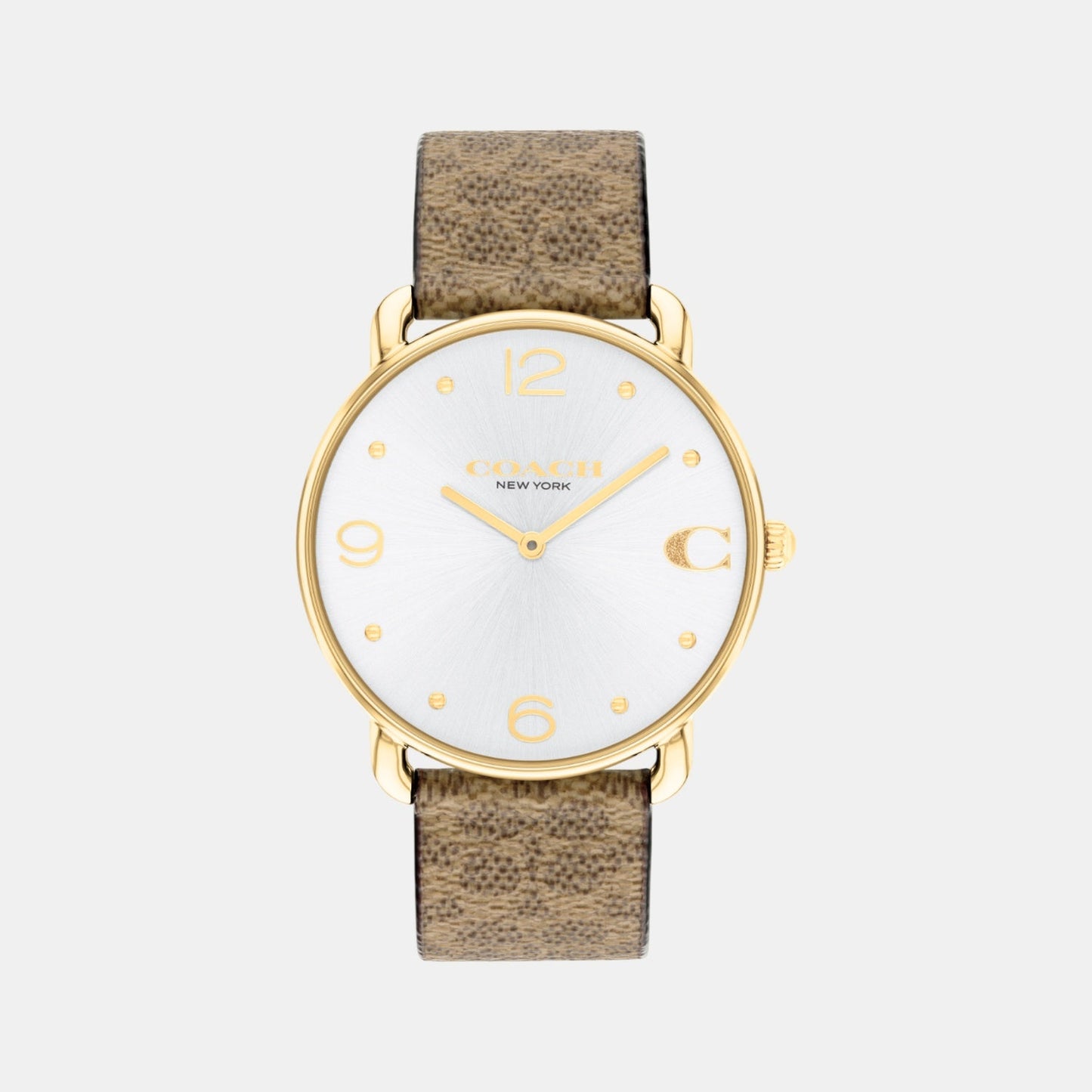 Elliot Women Quartz Silver Dial Analog Leather Watch 14504205