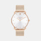 Elliot Women Quartz Silver Dial Analog Mesh Watch 14504209