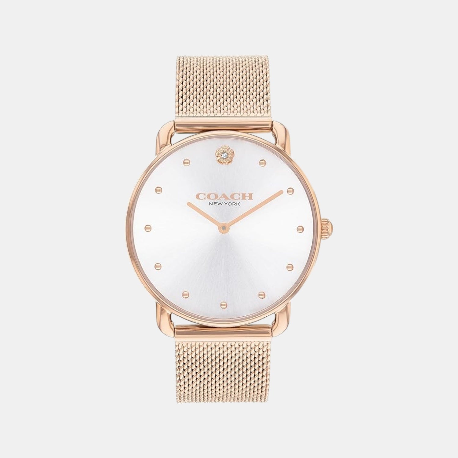 Elliot Women Quartz Silver Dial Analog Mesh Watch 14504209