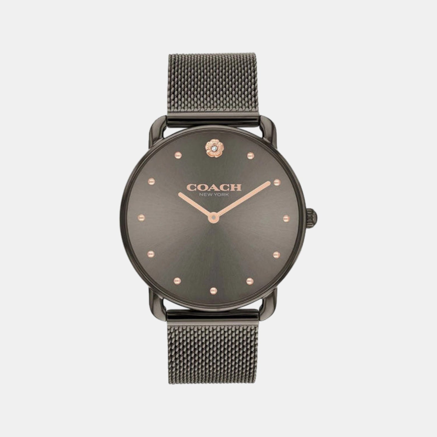 Elliot Women Quartz Grey Dial Analog Mesh Watch 14504210