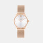 Elliot Women Quartz Silver Dial Analog Stainless Steel Watch 14504222