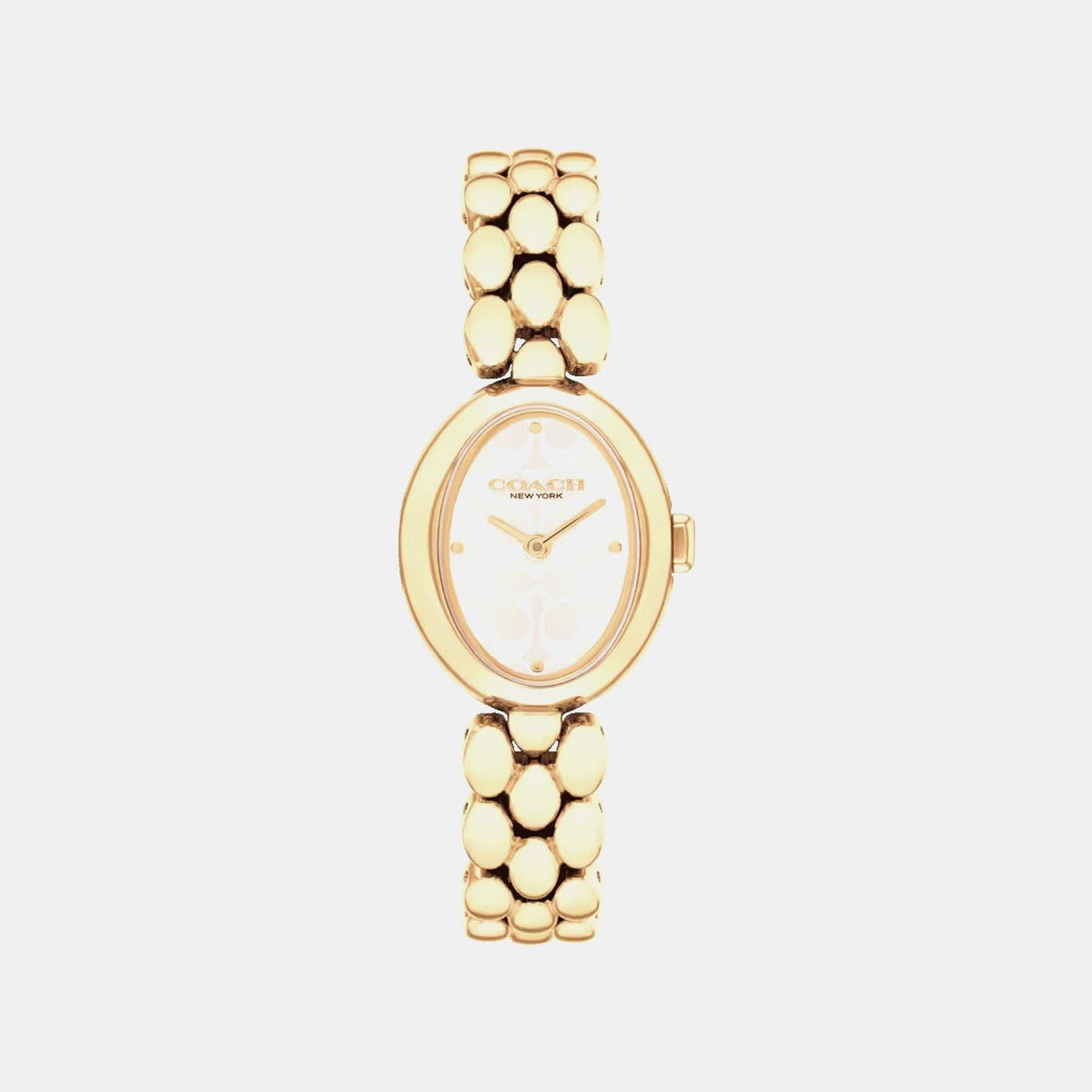 Sammy Women Quartz Silver Dial Analog Stainless Steel Watch 14504417