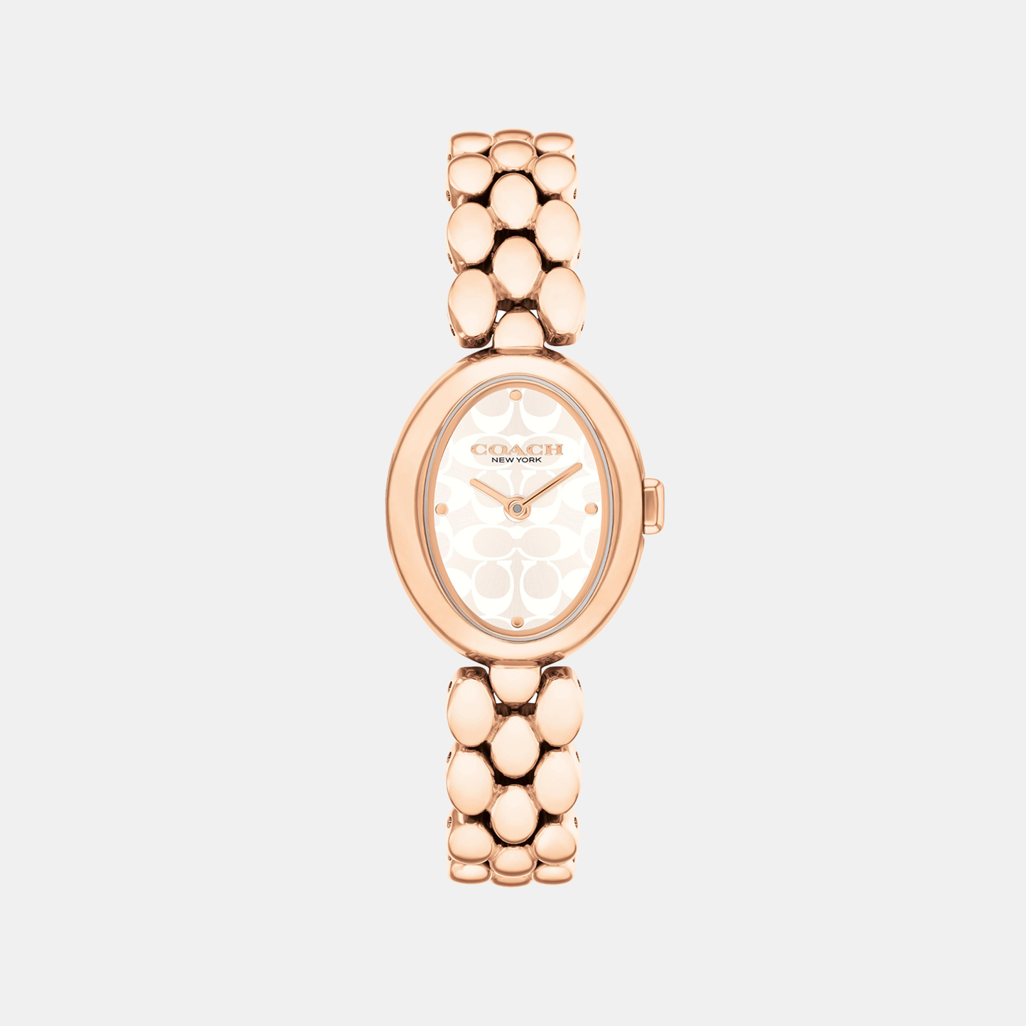 Sammy Women Quartz White Dial Analog Stainless Steel Watch 14504437