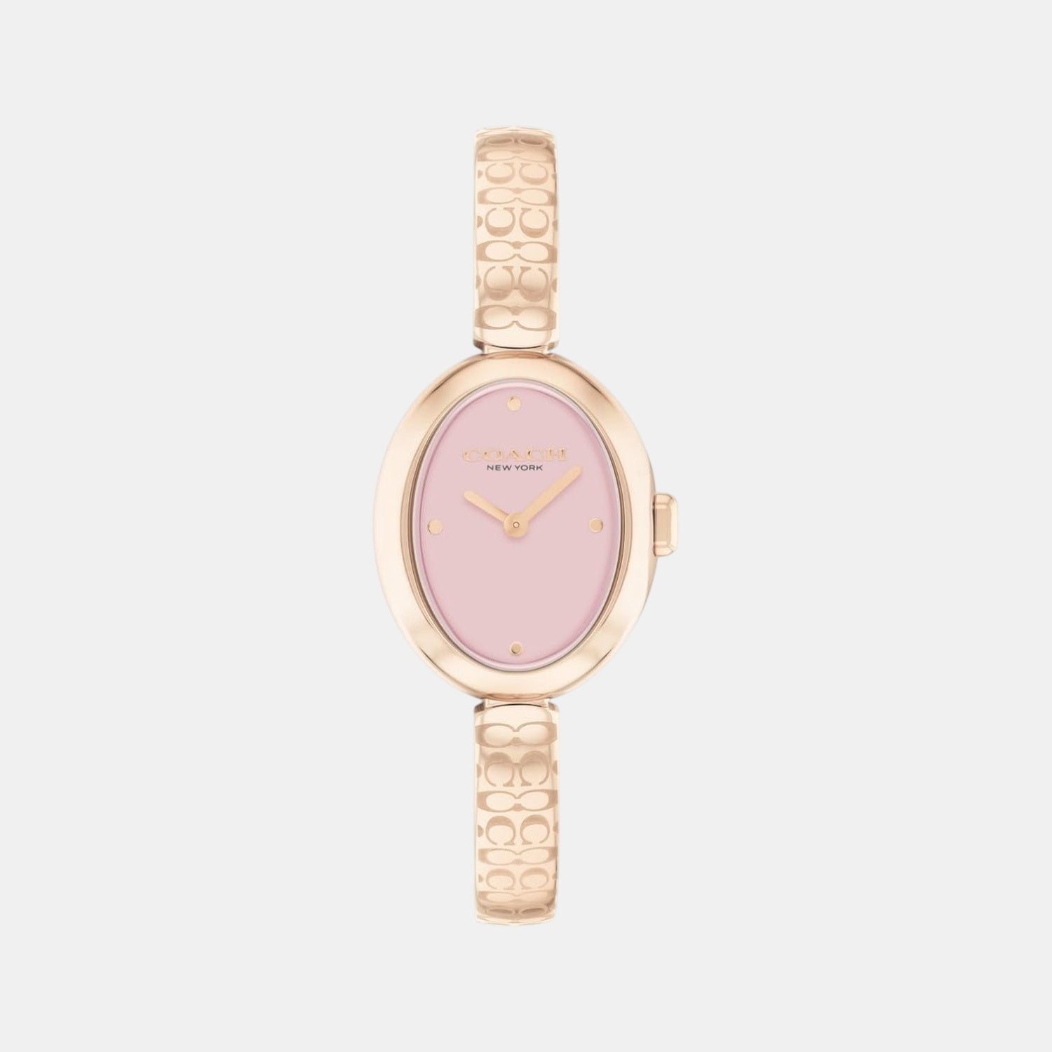 Sammy Women Quartz Pink Dial Analog Stainless Steel Watch 14504486