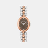 Sammy Women Quartz Brown Dial Analog Stainless Steel Watch 14504542
