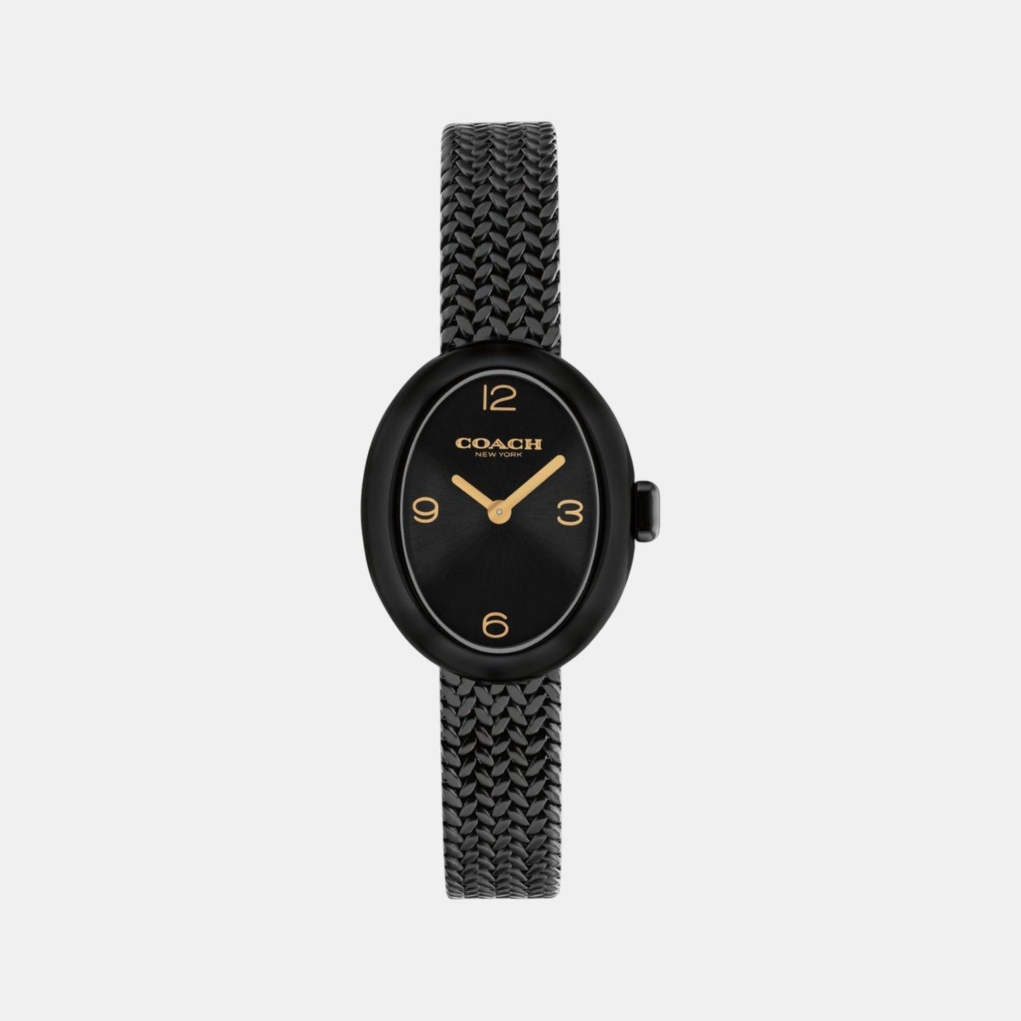 Sammy Women Quartz Black Dial Analog Mesh Watch 14504569