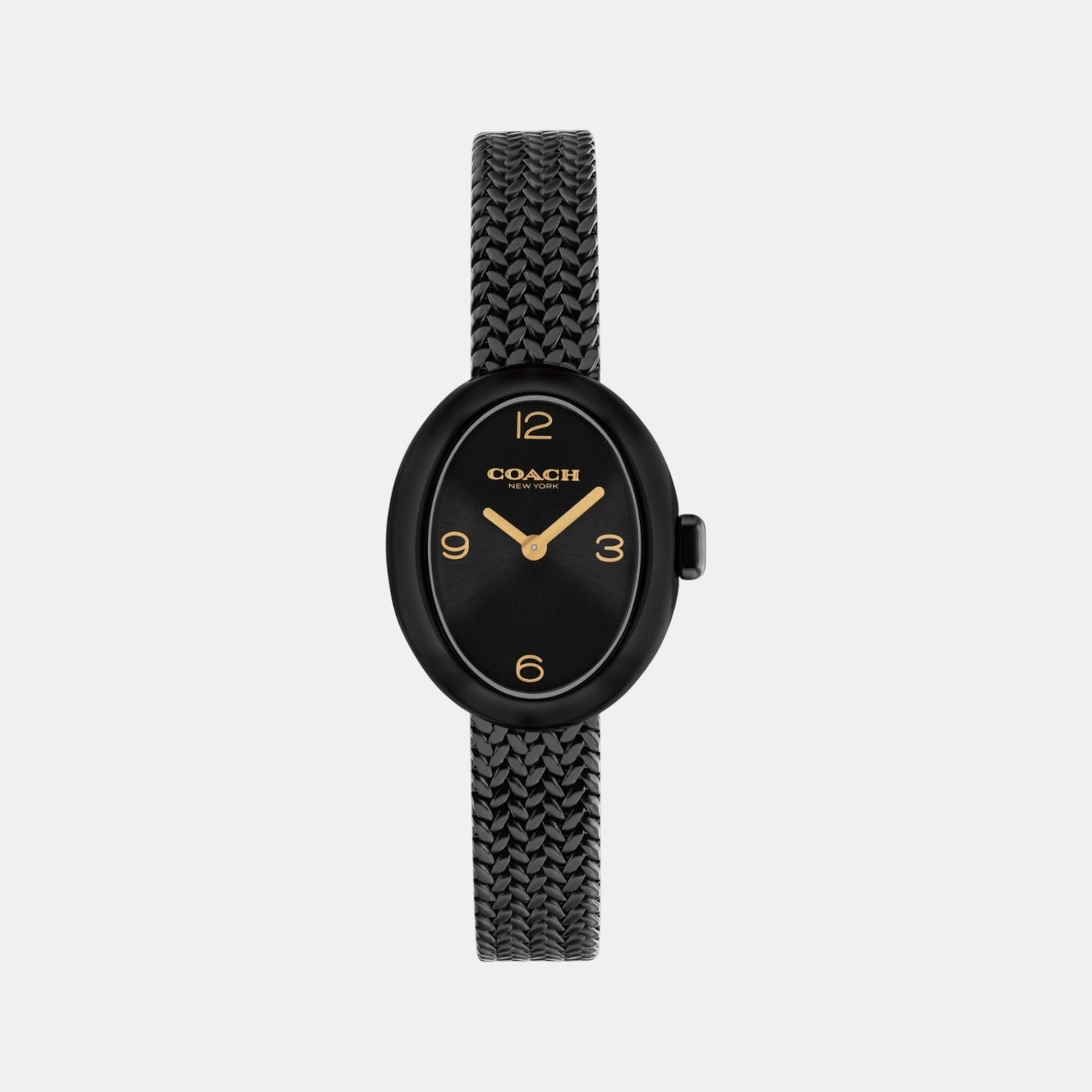 Sammy Women Quartz Black Dial Analog Mesh Watch 14504569