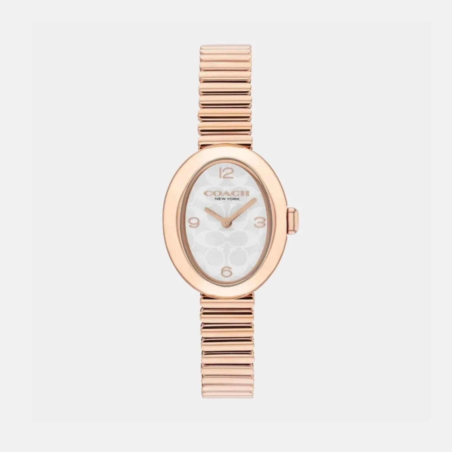 Sammy Women Quartz White Dial Analog Stainless Steel Watch 14504572
