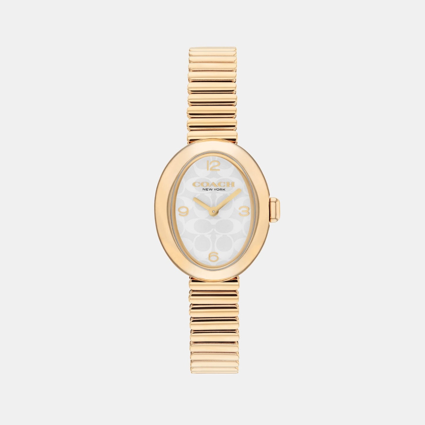 Sammy Women Quartz White Dial Analog Stainless Steel Watch 14504573
