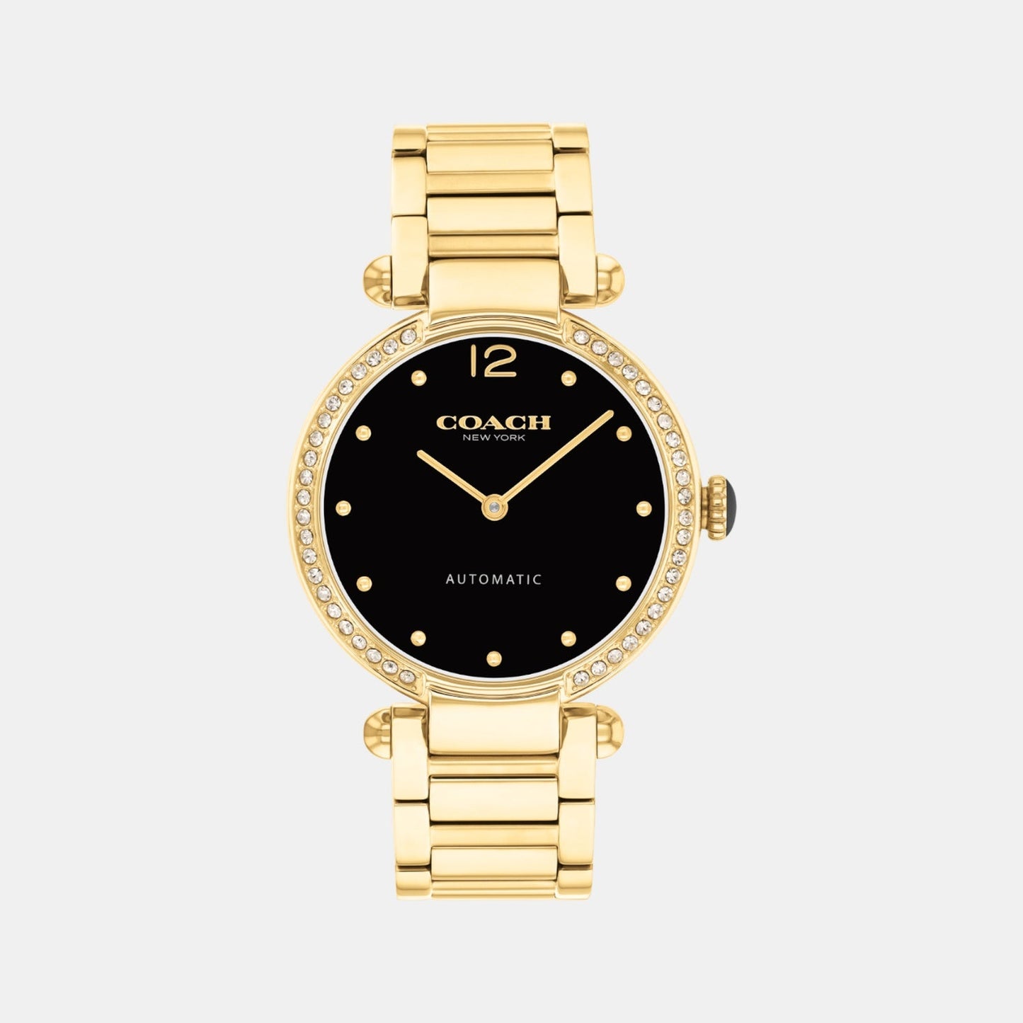 Cary Women Automatic Black Dial Analog Stainless Steel Watch 14504579