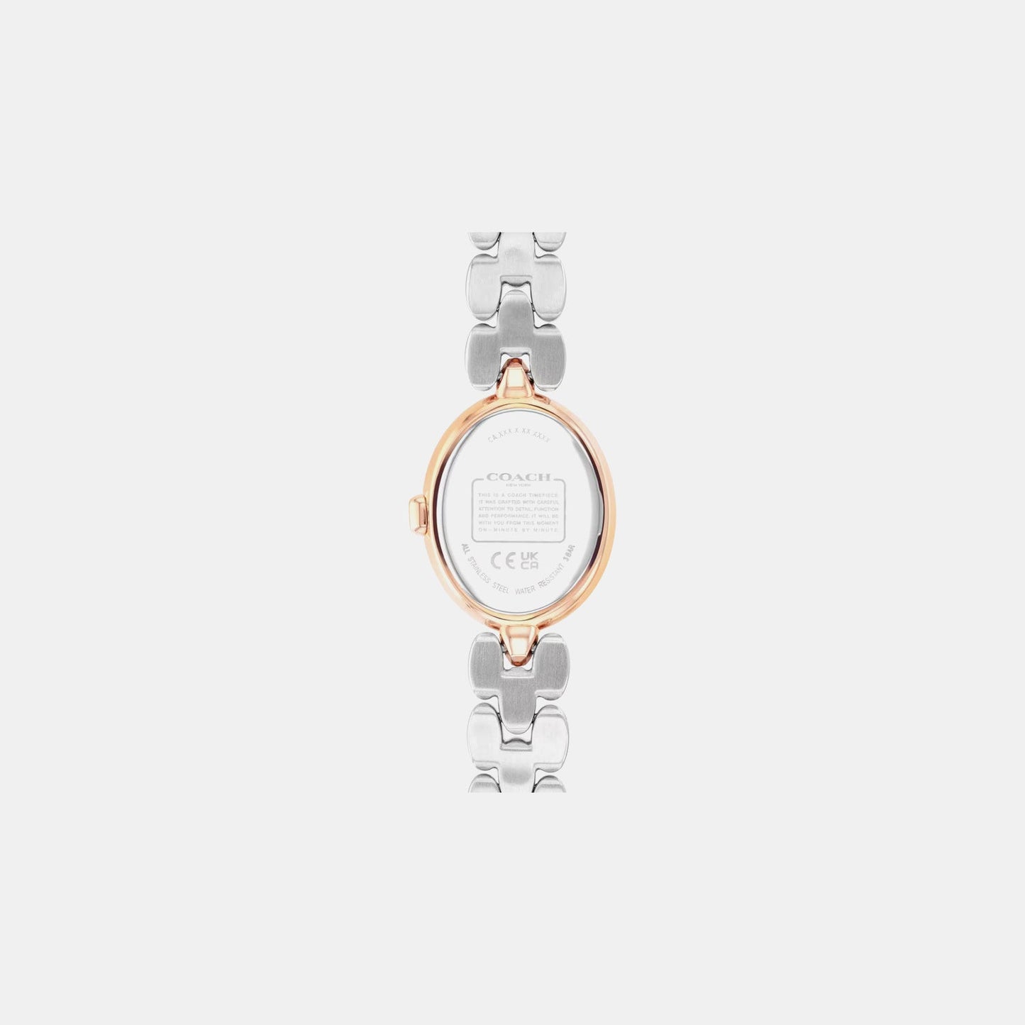 Sammy Women Quartz Green Dial Analog Stainless Steel Watch 14504641