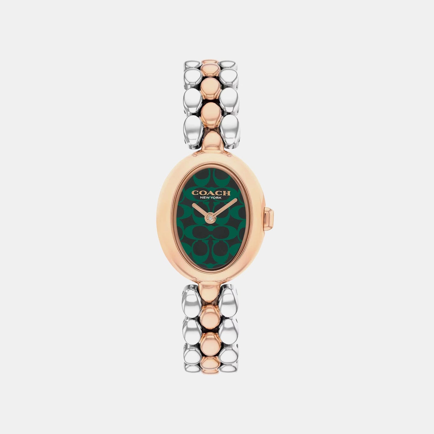 Sammy Women Quartz Green Dial Analog Stainless Steel Watch 14504641