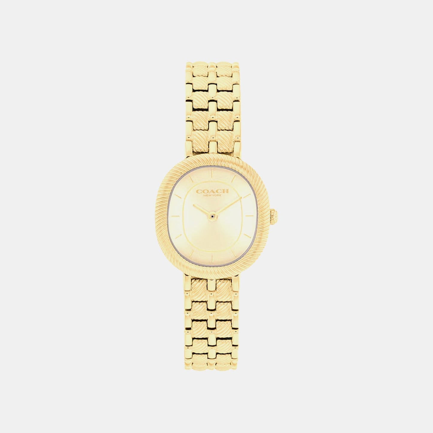 Harlow Women Quartz Gold Dial Analog Stainless Steel Watch 14504660