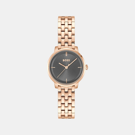 Lucia Women Quartz Grey Dial Analog Stainless Steel Watch 1502820