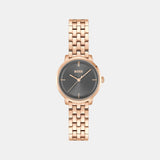 Lucia Women Quartz Grey Dial Analog Stainless Steel Watch 1502820