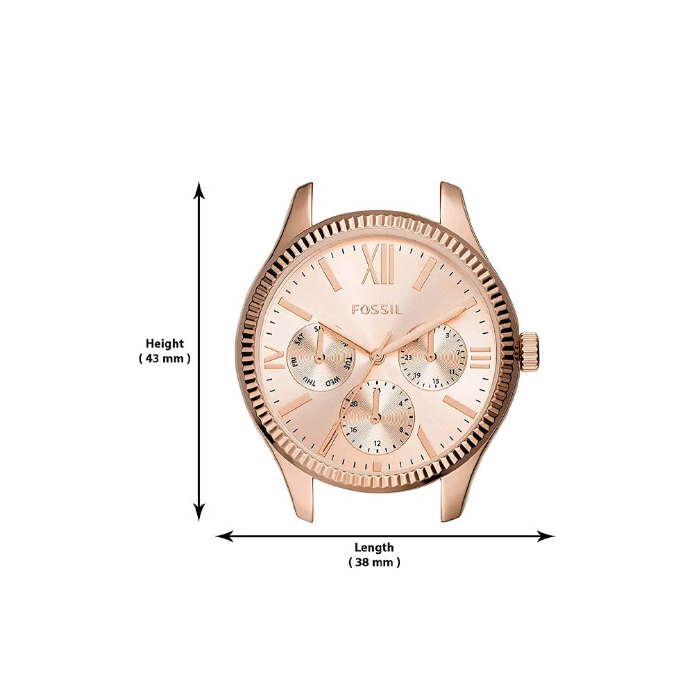 Fossil BQ3691 Rye Analog Watch For Women