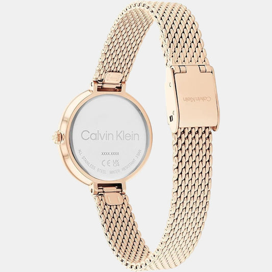 Minimalistic T Bar Women Quartz Silver Dial Analog Mesh Watch 25200083