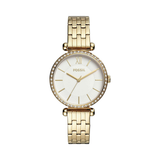 Fossil BQ3498 Tillie Analog Multicolor Dial Women's Watch