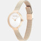 Minimalistic T Bar Women Quartz Silver Dial Analog Mesh Watch 25200083